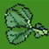 espinaca
